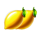 fruit lightning 3x5 lemon symbol icon