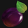 fruit macau plum symbol icon