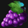 fruit monaco grapes symbol icon