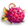 fruit spin powerpoints pomegranade symbol icon