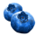 fruit splash blueberries symbol icon