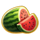 fruitferno 40 gold watermelon symbol icon