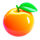 fruitful wheel orange symbol icon