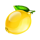 fruiti lemon symbol icon