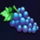 fruitmax cashlinez grapes symbol icon