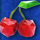 fruitovski cherry symbol icon