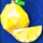 fruitovski lemon symbol icon