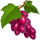 fruits and bombs grape symbol icon