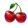 fruits cash cherry symbol icon