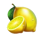 fruits cash lemon symbol icon