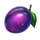 fruits cash plum symbol icon