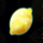 fruits on ice lemon symbol icon
