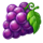 fruits treasure party grape symbol icon