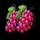 fruity coins hold and spin grape symbol icon
