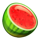 fruity crown watermelon symbol icon