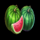 fruity diamonds hold and spin watermelon symbol icon