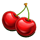 fruity force 40 cherry symbol icon
