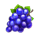 fruity force 40 grapes symbol icon