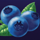 fruity reels blueberries symbol icon