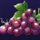 fruity reels grape symbol icon