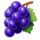 fruity spins grapes symbol icon