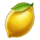 fruity spins lemon symbol icon