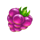fruity time berry symbol icon