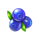 fruity time blueberry symbol icon