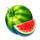 fruity wheel watermelon symbo icon