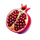 fruity x125 pomegrenate symbol icon