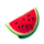 fruity x125 watermelon symbol icon