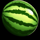 fruityliner 40 watermelona symbol icon