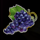 ftn freeze grape symbol icon