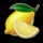 ftn freeze lemon symbol icon