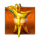 fu gui hao men splendid fortune gold symbol icon