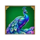 fu long treasures peacock symbol icon