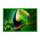 gana volcano patlines toucan symbol icon