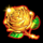 garden of riches rose symbol icon