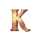 gearlab genius k symbol icon