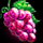 gem fruits grape symbol icon