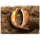 gemmed q symbol icon