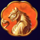 genies secret tiger symbol icon