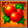 gift mania holly berries symbol icon