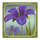 gimme the honey megaways balloon flower symbol icon