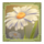 gimme the honey megaways chamomile symbol icon