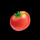 go high harvest tomato symbol icon
