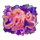 god of the undersea octopus symbol icon