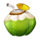 going wild in hawaii coconut symbol icon