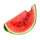 going wild in hawaii watermelon symbol icon