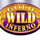 gold inferno wild 1 symbol icon